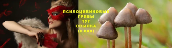 винт Верхний Тагил