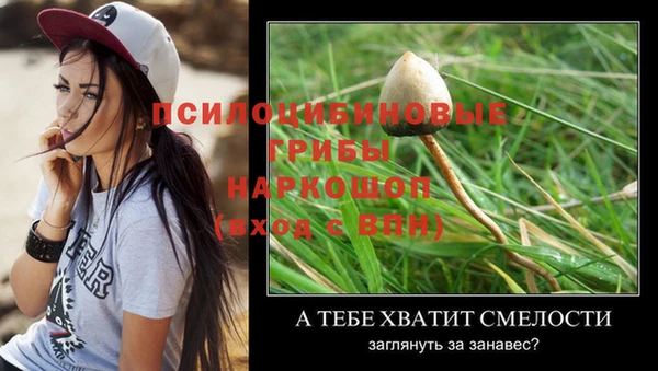 молекула духа Верхнеуральск