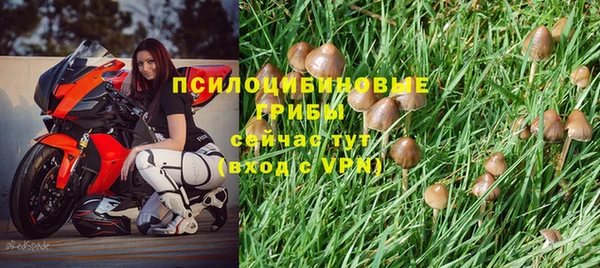 гидропоника Верея