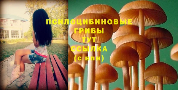 соль курить ск Бронницы