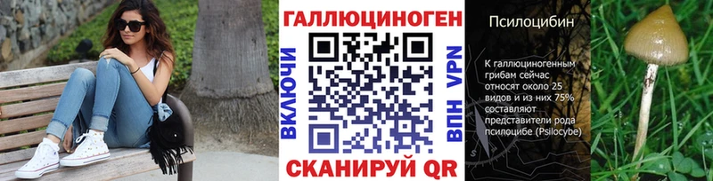 Псилоцибиновые грибы Psilocybe  мориарти состав  Канаш 