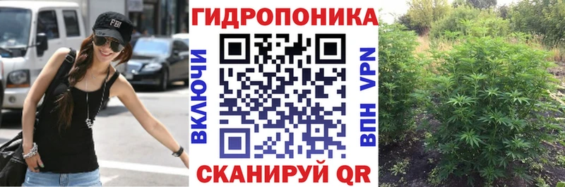 Бошки марихуана гибрид  Канаш 